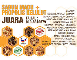 Admindecember 11, 2019january 18, 2021 uncategorized no comments. Kelulut Projects Photos Videos Logos Illustrations And Branding On Behance