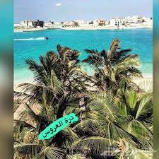 درة العروس تأجير شالية للشباب وعوائل