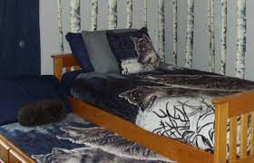 Check spelling or type a new query. How To Decorate A Wolf Themed Bedroom Dengarden