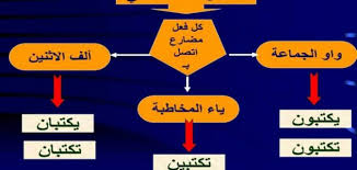 بحث عن الأسماء الخمسة حروف عربي
