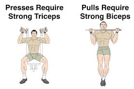 10 best arm exercises for bigger biceps