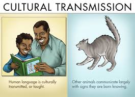 If you make a comparison and contrast you will easy see these differences and similarities. The Difference Between Animal And Human Communication Owlcation Education