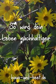 Nachhaltigkeit Gruner Leben Kann Jeder Haus Und Beet Nachhaltigkeit Gemuse Anbauen Gemusegarten Anlegen