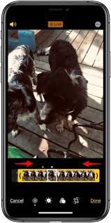 You both receive a notification that the photo was taken, and the live photo is saved in your photos app. Live Photos The Complete Guide To The Iphone S Moving Pictures Updated For Ios 13