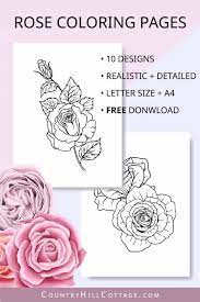 These summer coloring pages free to print show the activities that people do during the summers. Free Printable Rose Coloring Pages 10 Realistic Designs For Adults