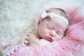 The Cuddles Company, LLC