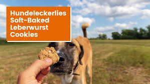 Kochen Fur Hunde Hundeschule Wohnmobil Reisefuhrer Kochen Fur Hunde Tierfutter Angstlicher Hund