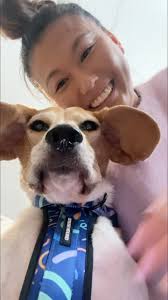 Their name. Their harness. Their moment 💫🐶🐾 #dog #dogsofinstagram  #doglife #dogharness #explorepage #personalisation #personalisedharness