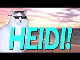 Happy Birthday Heidi Epic Cat Happy Birthday Song Youtube