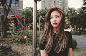 Ash Brown Highlights Jennie Hair Blackpink Jennie Blackpink