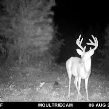St charles bay hunting club. Bcd Hunters Haven Hunting Club Home Facebook