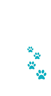 Minimal White Teal Jade Paw Prints Phone Wallpaper Iphone Background Lock Screen Fondos De Unicornios Fondos De Patalla Fondo De Pantalla Para Telefonos