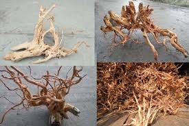 Pin On Here Fish Y Fish Y