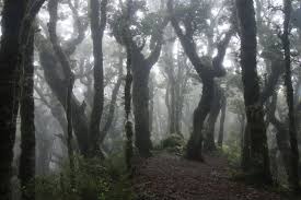 1 hour = 60 minutes = 3600 seconds. Nas Prvni Vetsi Track Na Mt Holdsworth