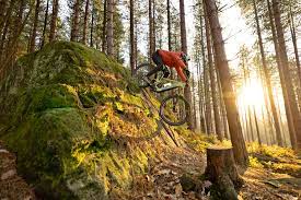 Mountain bike free shipping store