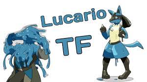 Lucario is a fighting/steel type pokémon introduced in generation 4. Lucario Transformation Lucario Tftg Youtube