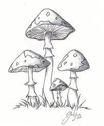 1 Lil 2 Lil 4 Lil Mushrooms Mushroom Drawing Mushroom Art Drawings