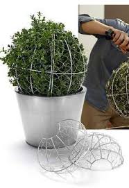 Imgur The Magic Of The Internet Topiary Diy Topiary Topiary Garden