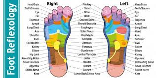 10 Second Reflexology Foot Massage Trick To Reset Your Circulation And Metabolism For The Next Day Reflexology Foot Chart Reflexology Chart Foot Reflexology