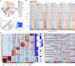 Grey possibly a reflection of a person's grey matter, a grey ribbon promotes brain cancer awareness. Single Cell Rna Seq Reveals That Glioblastoma Recapitulates A Normal Neurodevelopmental Hierarchy Nature Communications