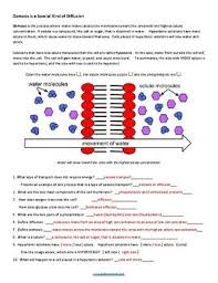 Cell Membrane And Transport Coloring Key By Biologycorner Tpt Cell Membrane Cell Membrane Transport Membrane