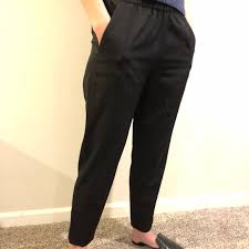 Everlane Italian Goweave Easy Pant Size 00