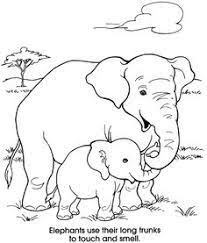 Animal coloring pages for kids pinterest from mother and baby animal coloring pages. 18 Best Mom And Baby Animal Coloring Pages Ideas Animal Coloring Pages Coloring Pages Coloring Pages For Kids