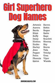 Female Dog Names And Meanings In 2020 Female Dog Names Dog Names Girl Dog Names