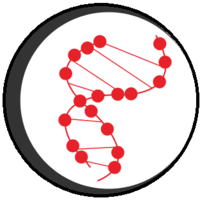 For over a decade, alan miller of genesis diagnostics served as the executive director for artisan fabrics. Genesis Diagnostics Overview Competitors And Employees Apollo Io