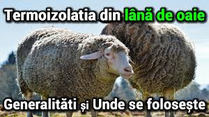 Lana De Oaie Termoizolatie De Origine Animalica Generalitati Si Unde Se Foloseste Youtube