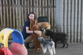 If you want to go on trips without being hassled about your animal companion, or need to find a new place to live without paying unfair additional fees, then you need to. Best Friends Pet Hotel Best Friends Pet Care