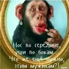 ну что ж ты страшная такая ты такая страшная Krasota Strashnaya Sila Women Humor Funny Faces Humor