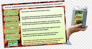 Pada asanya hakmilik mengandungi dua maklumat iaitu siapa tuan punya dan dimana tanah ia miliki. African Oil Palm Png Images Pngwing