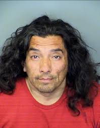 Man accused of Greenway assault sentenced to jail-work release