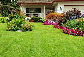 Dr mahmood naraghi is a licensed landscape architect, landscape expert witness and a licensed general contractor and landscape contractor in california and founded naraghi & associates in 1991. Lawn Service Grass Patch Landscaping Mandeville