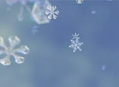 Snowflakes Forming Animated Gif From Discovery Frozen Planet Click Image To Visit Site Beauty Winter Snowflake Met Snow Crystal Snow Gif Snowflakes