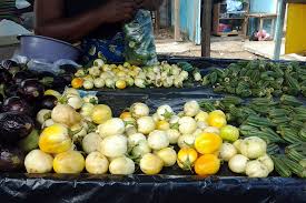 Image result for Solanum aethiopicum