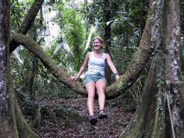 Image result for Entada gigas