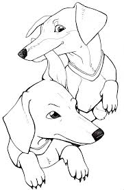 Dachshund Coloring Page Dachshund Colors Coloring Pages Dachshund Art
