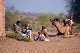 A traveler is searching for his lost camel, when he meets three wise men who can tell him every detail about his camel. High And Dry The Thar Desert Brims With Life The Better Traveller