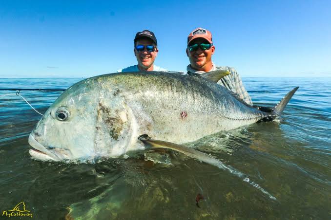 Giant Trevally Fly Fishing | Fish-nation.com