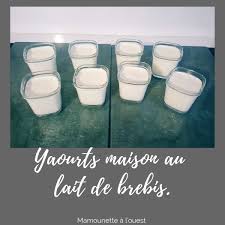 Recette De Yaourts Maison Au Lait De Brebis En 2020 Yaourt Maison Recette Yaourt Maison Recette Yaourt