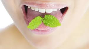 Apalagi ketika kita sedang berbicara dengan orang lain. Kunyah Daun Mint Cara Cepat Menghilangkan Bau Mulut Tak Sedap Beauty Fimela Com