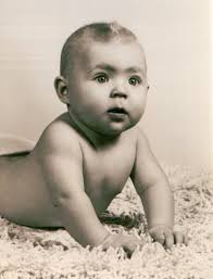 Blog 348 8/20/11 Christine Fitzpatrick Milner