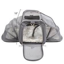 Maybe you would like to learn more about one of these? Exotic Pet Supplies Near Me The Y Guide