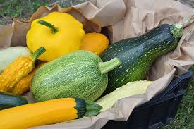Check spelling or type a new query. 21 Of The Best Summer Squash Varieties Gardener S Path
