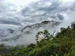 This lush mountain retreat in Ecuador's cloud forest is only an hour outside Quito - The Washington Post