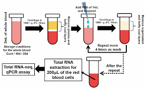 Image result for Blood Doping