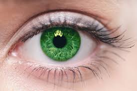 How Much Do Colored Contacts Cost Allaboutvision Com