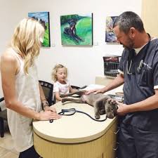 Alicia pet care center reviews by location. Alicia Pet Care Center Updated Covid 19 Hours Services 82 Photos 221 Reviews Veterinarians 25800 Jeronimo Rd Mission Viejo Ca Phone Number Yelp